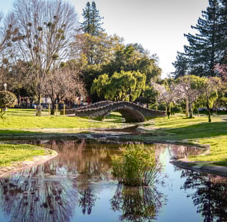 Juliard Park - Santa Rosa