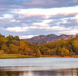 Spring Lake - Santa Rosa