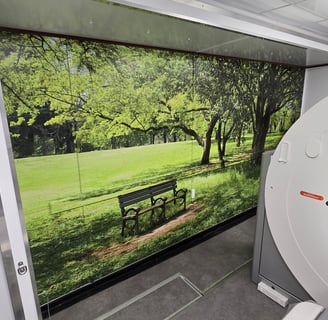 Wall Wrap for Akumin Imaging of a park bench and a trail in a sunny forest