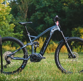 a bicycle is parked in the grass near a tree