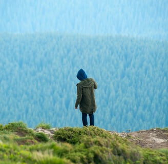 a person standing on a hill with a blue sky and trees in the background