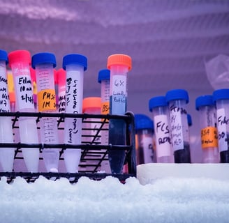 -80 freezer maintenance, regular freezer maintenance, importance of maintenance, -80 freezer reliabi