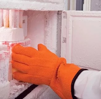 -80 freezer repair, -80 freezer repairs in South Africa