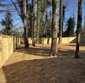 Custom Wood Privacy Fence