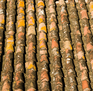 toit recouvert de lichens avant traitement