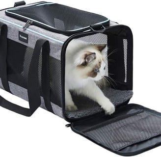 a cat in a carrier bag with a cat
