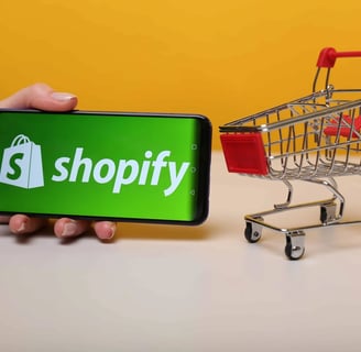 a person holding a phone with a shopping carton