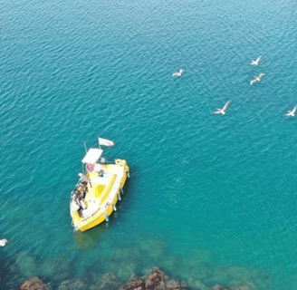 beach clean up glass bottom boat Redondo beach boat adventure ocean 