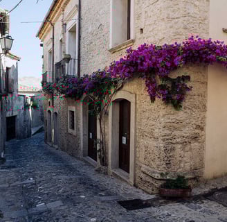 a narrow alley with a flowered planter and a potted planter