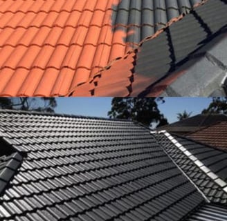 roof painting and restoration services
