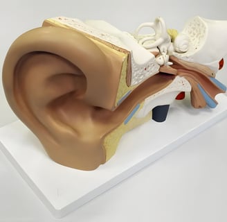 a human earphoned earphoned earphoned earphoned earphone