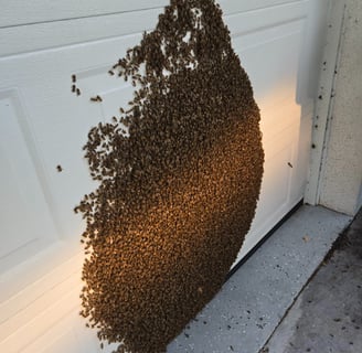 a swarm of bees on a garage door