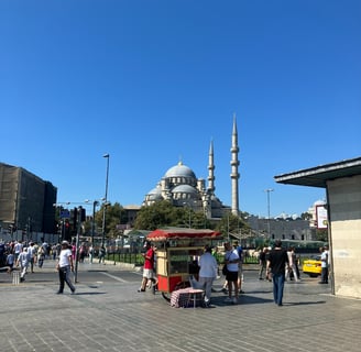 Mosque view in Turkey Istanbul