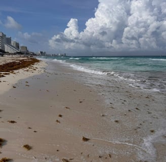 a beach with a view of the ocean and a cloudy sky