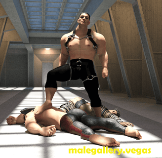 the thrill of victory and the agony of defeat