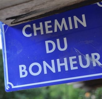 chemin du bonheur gestion des emotion Florence Lemaire naturopathe femme et enfant
