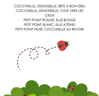 paroles : coccinelle demoiselle