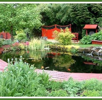 Bassin avec poissons entouré d'1 terrasse bois de bancs et de plantes multicolores