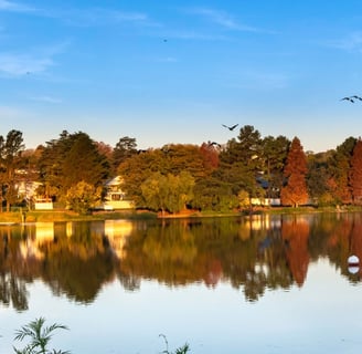 Johannesburg Botanical Gardens and Emmarentia Dam
