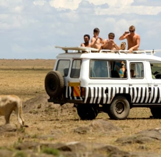 Lion & Safari Park, Johannesburg, South Africa:
