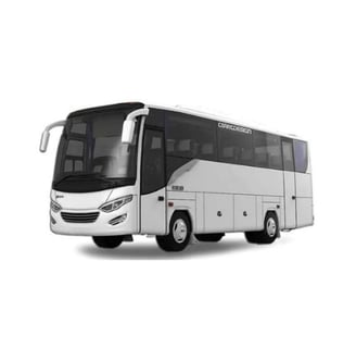 Bus Mini