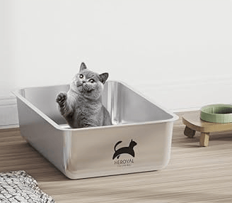 Cat in a litter box