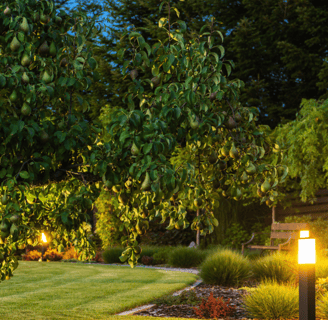 Outdoor lighting in landscape design in Williamsburg VA