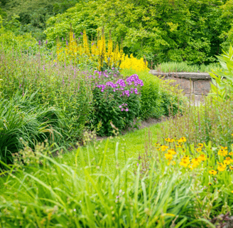 Rain Garden landscaping design Williamsburg VA