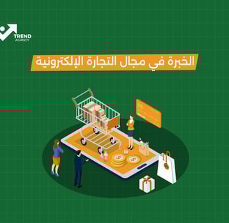 الخبرة في مجال التجارة الإلكترونية