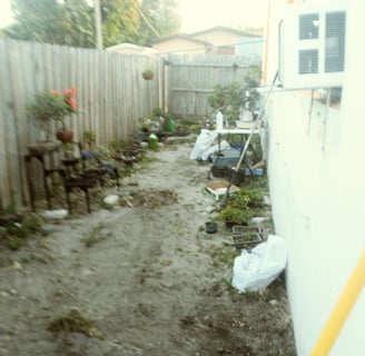 Bonsai Garden Before