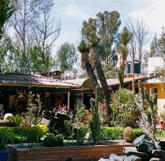 a traditional mexican house with a cactus garden in front