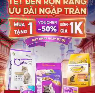 Khoá học trang trí gian hàng shopee