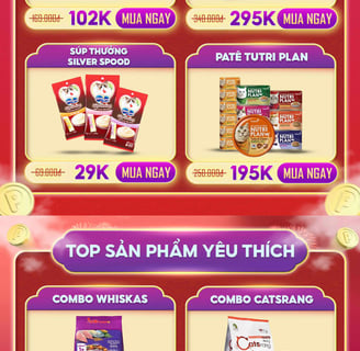 Khoá học trang trí gian hàng shopee