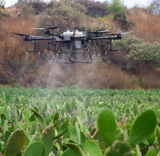monitoreo de cultivo con dron en agricultura