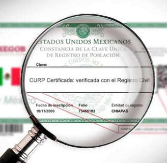 curp biométrica en linea curp biométrica nueva curp biométrica curp biométrica que es