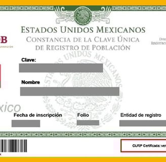 curp biométrica en linea curp biométrica nueva curp biométrica curp biométrica que es
