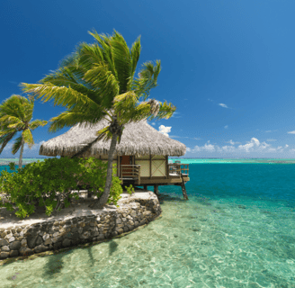a hut with a thatched roof and a thatched hut with a thatched