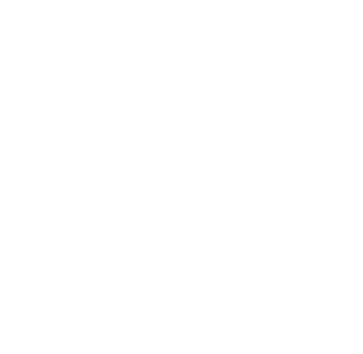Beaches Logo