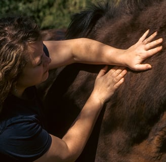 A close up of Gemma giving a bay horse a massage on their lower neck.