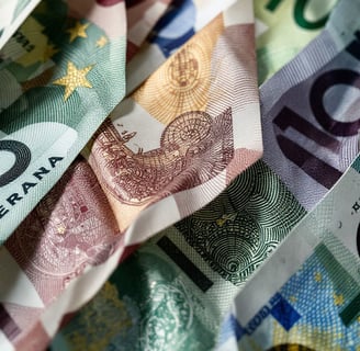 monetary unions when countries share more than markets amd money IB Economics