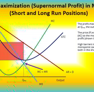 Monopoly Profit Maximisation