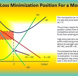 Monopoly Short Run Loss Minimisation