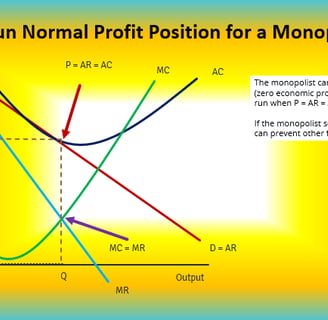 Monopoly Short Run Position