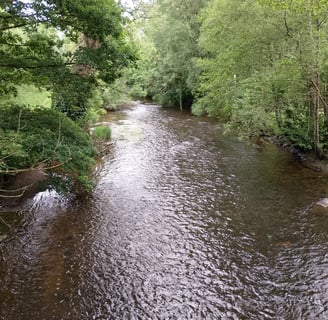 River Le Guic flowing through lush green woodland near Belle-Isle-en-Terre in Brittany, France—popul