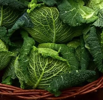 verduras ricas en magnesio