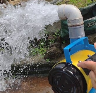 a person is holding a hose and a hose in the water