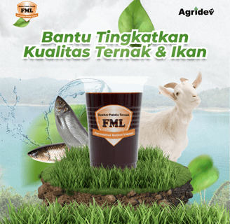 FML diolah dengan teknologi canggih, aman untuk ternak