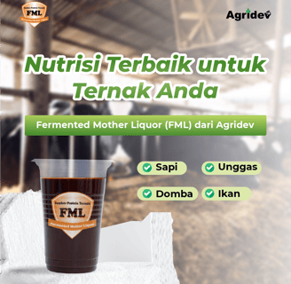 FML asam amino untuk semua ternak