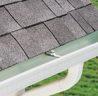 gutter cleaning service