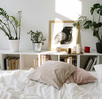 Modern bedroom with vibrant plants adding a fresh natural vibe.